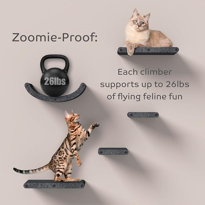 Wall Mounted Cat Hammock Bed by Pryde Pets - Floating Perch Curved Shelf, 100% Sustainable PET Felt Feline Enrichment Climber Furniture for Indoor Cats, Modern Climbing Gym Jungle Design (Charcoal)