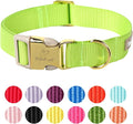Nylon Dog Collar - Adjustable Fluorescent Green Soft Webbing Dog Collars for Small Medium Large Dogs Boy Girl Puppy Collar with Safety Metal Buckle M