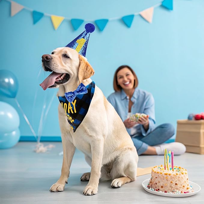 EXPAWLORER Dog Birthday Party Supplies - Dog Birthday Bandana Scarf and Party Hat with Numbers Boy Girl Pet Bow Tie, Cute Outfit for Small Medium Large Dogs (Small)