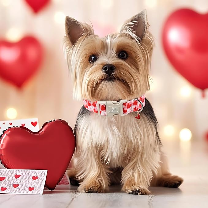 Valentines Dog Collar for Large Dogs - Cute Pink Girl Dog Collar, Doodle Heart Pattern, Adjustable Valentine Dog Collars with Red Heart Charm L