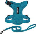 Voyager Escape-Proof Step-in Lock Cat Harness & 5ft Neoprene-Handle Leash Set All-Weather Mesh with Reflective Stitching for Small to Large Cats by Best Pet Supplies, Turquoise, S