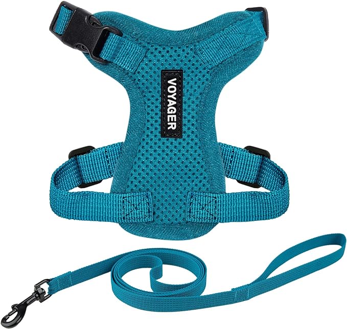 Voyager Escape-Proof Step-in Lock Cat Harness & 5ft Neoprene-Handle Leash Set All-Weather Mesh with Reflective Stitching for Small to Large Cats by Best Pet Supplies, Turquoise, S