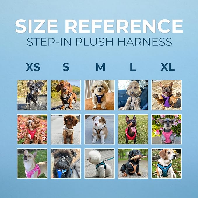 Best Pet Supplies - All Weather Plush, Reflective, No Pull Harness for Small, Medium Dogs, Cats - Secure with Hook & Loop Fastener, Buckle, Double D-Rings - Harness (Latte Suede), S