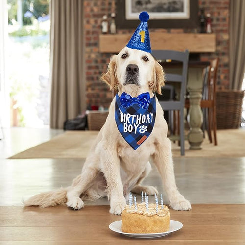 ADOGGYGO Dog Birthday Party Supplies, Multi Size Offered, Blue Dog Birthday Hat Bandana Numbers Bow Set for Large X-Large Dogs Pets (X-Large)