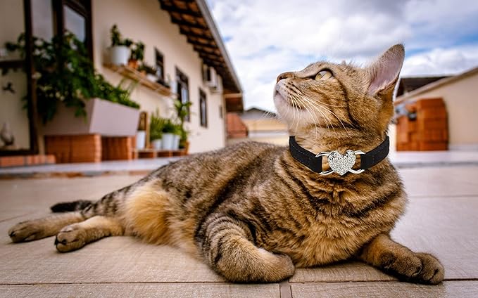 Heart Bling Cat Collar with Safety Belt and Bell Adjustable 8-10 inches for Kitten Cats (Black)