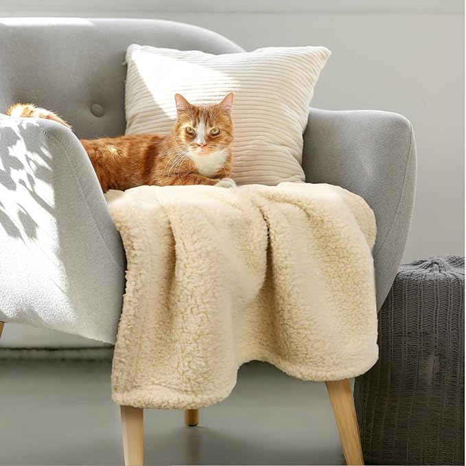 furrybaby Premium Soft Dog Blanket for Small Dogs Puppy Cat Washable Sherpa Fleece 24x32 Inches Pet Throw for Bed Furniture Couch Sofa Protection(Small, Beige Blanket)