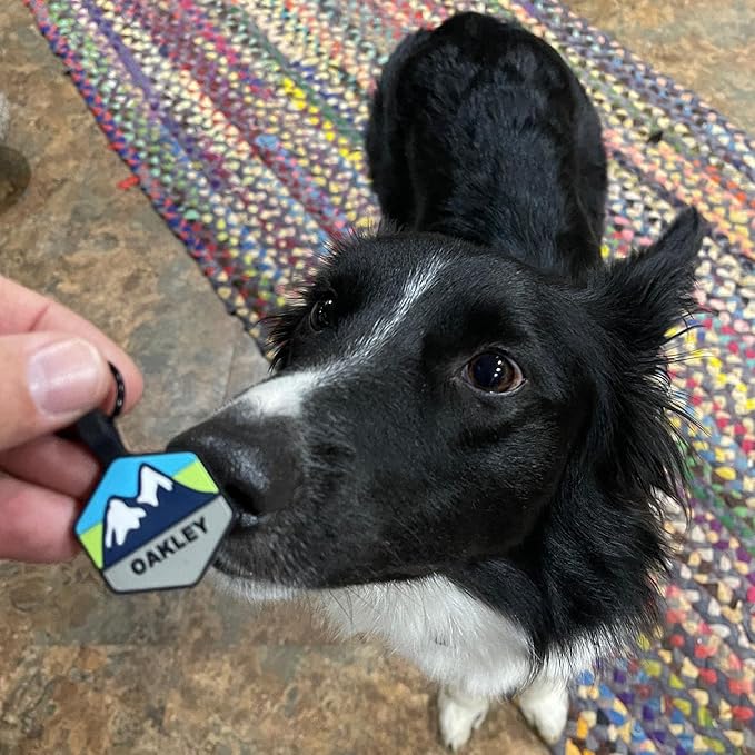Silent Dog Tag Personalized with 5 Lines of Custom Deep Engraved Durable Soundless Silicone Pet ID Name Tag Hexagon Snow Mountain Girl