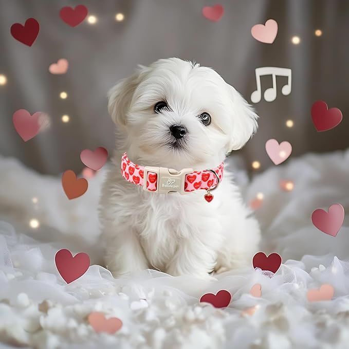 Valentines Dog Collar for Small Dogs - Valentine Red Conversation Hearts Dog Collars, Love Boy Girl Dogs Collars, Lightweight Adjustable Cute Puppy Collar with Quick-Release Buckle XS