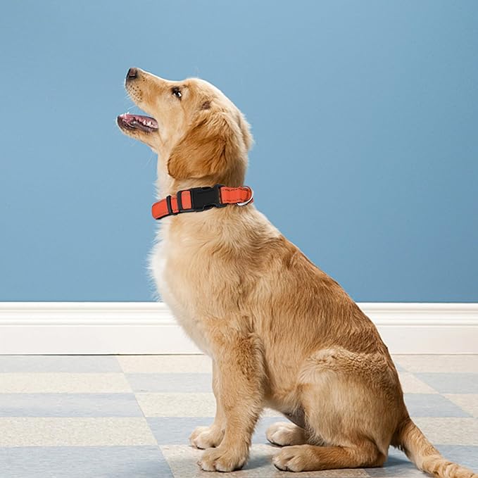 Reflective Dog Collar, Adjustable Soft Neoprene Padded Nylon Pet Collars with Buckle for Large Dogs, Orange,L