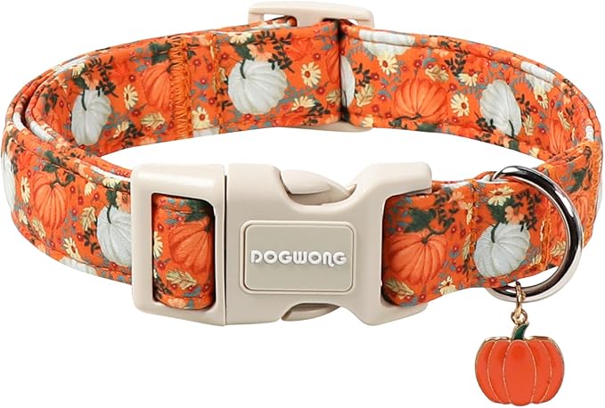 DOGWONG Fall Pumpkin Dog Collar- Cute Daisy Pumpkin Dog Collars Adjustable Orange Halloween Thanksgiving Dog Collar for Small Medium Large Dogs M