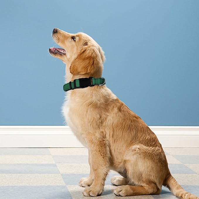 Reflective Dog Collar, Adjustable Soft Neoprene Padded Nylon Pet Collars with Buckle for Medium Dogs, Dark Green,M