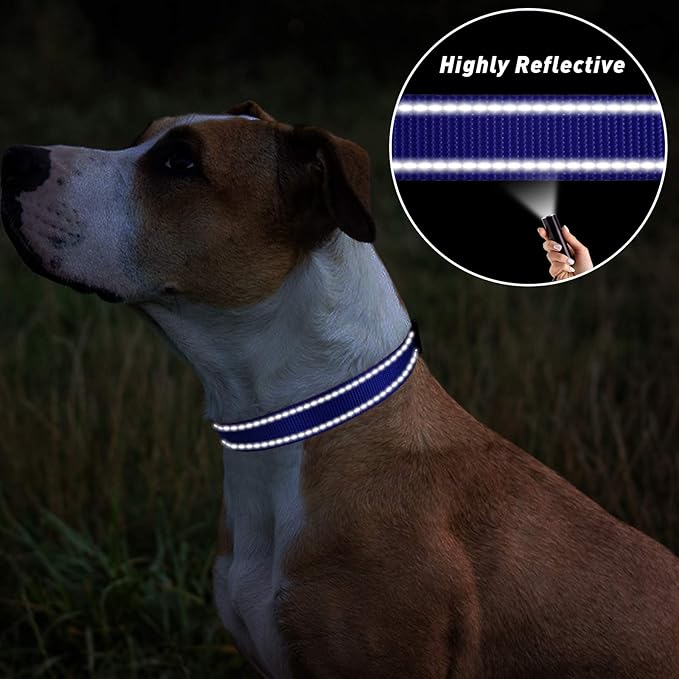 TagME Reflective Nylon Dog Collars, Adjustable Classic Pet Collar with Quick Release Buckle for Small Dogs, Royal Blue, 3/4" Width