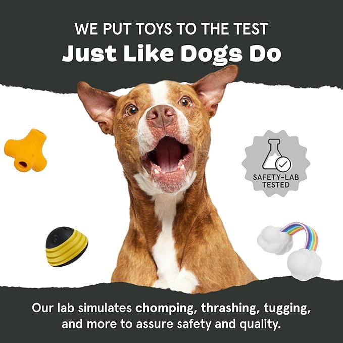 Barkbox Super Chewer Tough Dog Chew Toys for Aggressive Chewers, Dental Stimulating (Turkey - Large)