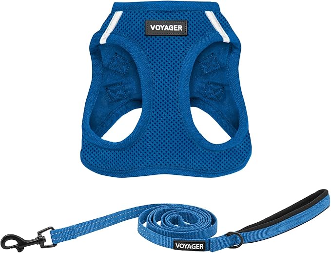 Best Pet Supplies Voyager Step-in Air All Weather Mesh Harness and Reflective Dog 5 ft Leash Combo with Neoprene Handle, for Small, Medium and Large Breed Puppies - Set (Royal Blue), XXS