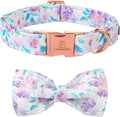 Lionheart glory Purple Dog Collar, Adjustable Dog Collar with Bowtie, Pet Gift Collar for Dog Soft Bowtie Dog Collars for X-Small Puppy