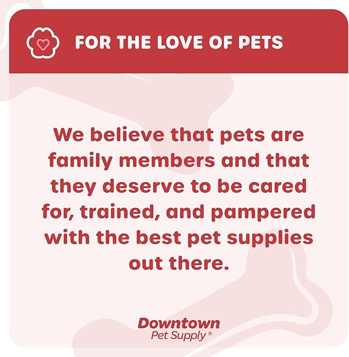 Downtown Pet Supply Step-in Dog Harness – No Pull, Adjustable Padded Mesh with Reflective Trim, Secure Buckle Strap – Comfortable & Breathable Small Dog Harness, XX-Small, Charcoal