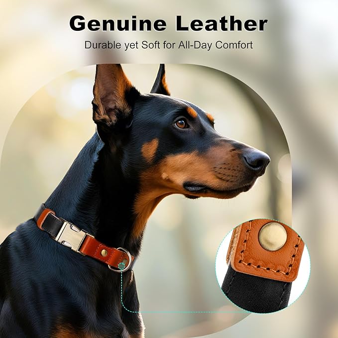 Plutus Pet Genuine Leather & Hemp Dog Collar – Adjustable Heavy Duty Pet Collar with Quick Release Metal Buckle, Soft & Stylish for Puppy and Small, Medium, Large Dogs (Black, M)