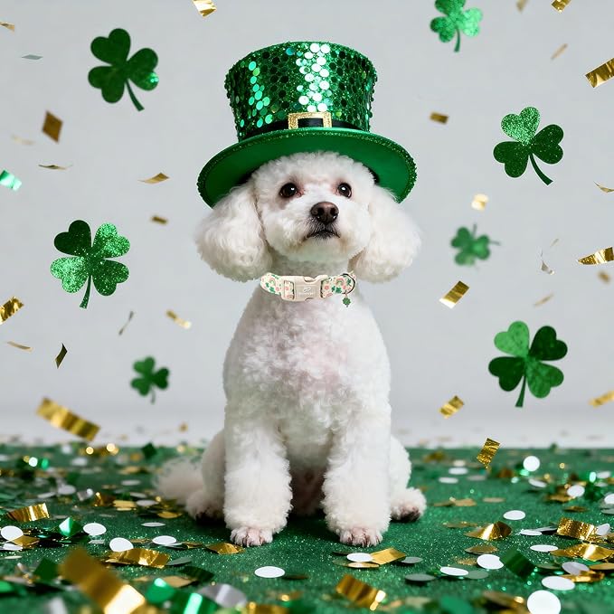 St. Patrick's Day Dog Collar for Small Dogs - Cute Shamrock & Rainbow Print Dog Collars, Irish Green Party Puppy Collar, Lightweight Adjustable St. Patricks Day Pet Collars XS