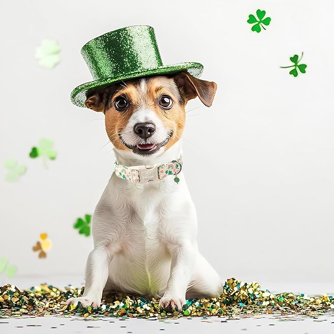 St. Patrick's Day Dog Collar for Large Dogs - Cute Shamrock & Rainbow Print Dog Collars, Irish Green Party Puppy Collar, Lightweight Adjustable St. Patricks Day Pet Collars XL