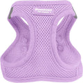 Downtown Pet Supply Step in Dog Harness for Small Dogs - Adjustable, Escape Proof Dog Harness with Reflective Trim - All-Weather, Fast-Drying Padded Mesh Fabric - Lilac, S