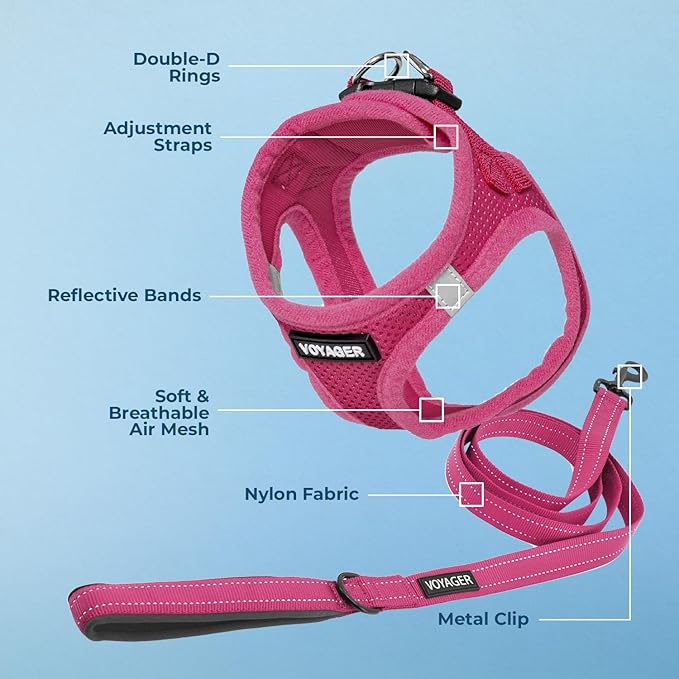 Best Pet Supplies Voyager Step-in Air All Weather Mesh Harness and Reflective Dog 5 ft Leash Combo with Neoprene Handle, for Small, Medium and Large Breed Puppies - Set (Fuchsia), S