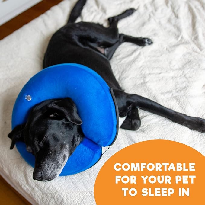 BENCMATE Inflatable Dog Cone Collar Alternative, Soft Dog Cone for Small Medium Large Dogs and Cats, Neck Recovery ECollar Donut Collar After Surgery (Medium+, Orca)