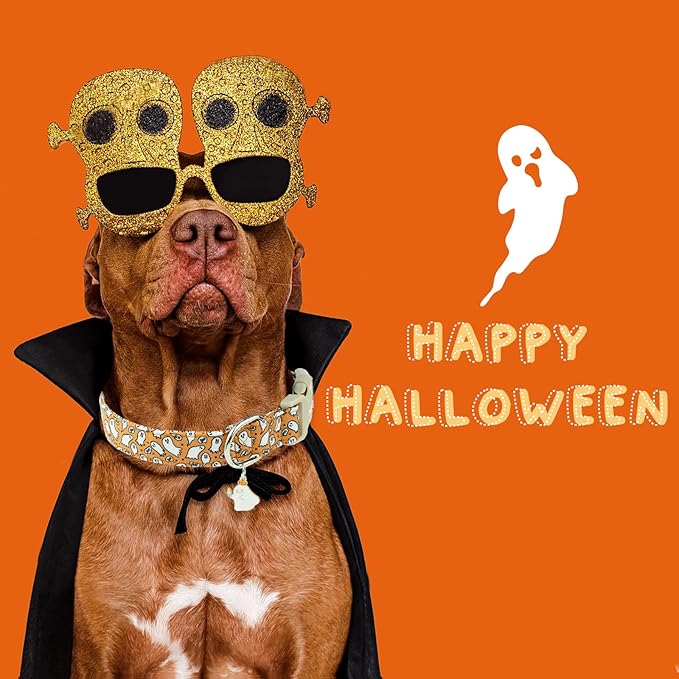 Faygarsle Halloween Ghost Pattern Dog Collar with Charm, Orange and White,for Small Medium Large Dogs L