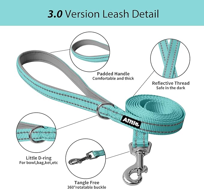 AIITLE Step in Dog Harness and Leash Set - No Pull Escape Proof Vest Harnesses with Soft Mesh and Reflective Bands, Adjustable Pet Outdoor Harnesses for Small and Medium Dogs Pure Turquoise M