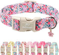 Floral Dog Collar, Cute Girl Dog Collars - Pastel Wildflowers Pattern Spring Summer Puppy Collar, Adjustable Female Dog Collars for Small Medium Large Dogs L