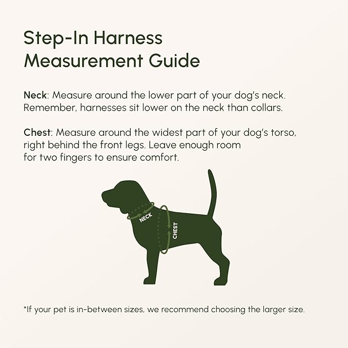 Downtown Pet Supply Step in Dog Harness for Large Dogs - Adjustable, Escape Proof Dog Harness with Reflective Trim - All-Weather, Fast-Drying Padded Mesh Fabric - Tangerine, Small