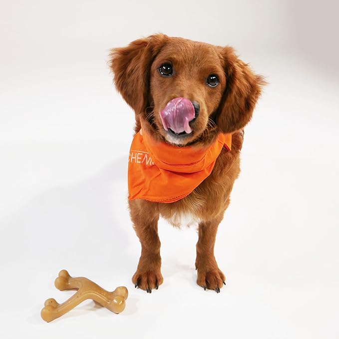 Nylabone Gourmet Style Wishbone Strong Chew Toy for Dogs, Bacon Flavor, Small - Up to 25 lbs, 1 Count