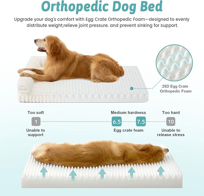 Cute Dog Bed, Faux Rabbit Fur Orthopedic Foam Dog Bed with Sides, Removable Washable Cover & Waterproof Lining, Comfortable Pet Couch for Small Dogs, Cream (30" L x 20" W x 6" Th)