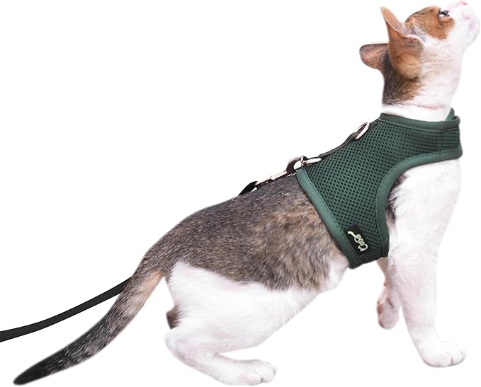 Cat Harness and Leash for Walking Escape Proof Breathable Mesh Fabric, Solid Green, Large, Adjustable Cat Walking Jackets, Padded Stylish Cat Vest