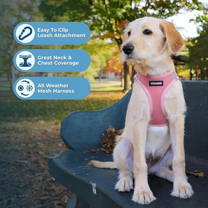 Best Pet Supplies Voyager Step-in Air All Weather Mesh Harness and Reflective Dog 5 ft Leash Combo with Neoprene Handle, for Small, Medium and Large Breed Puppies - Set (Pink), XL