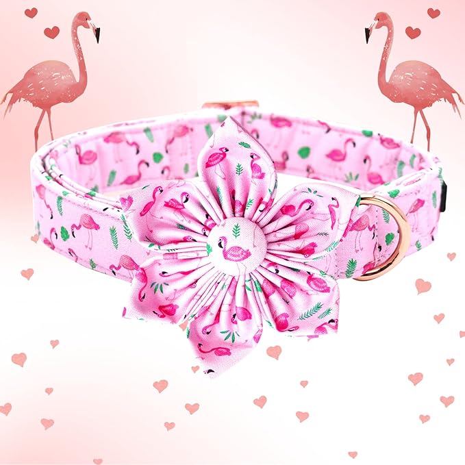 Lionheart Glory Valentine's Day Collar with Flower, Pink with Bowtie Spring Collar for X-Small Dogs
