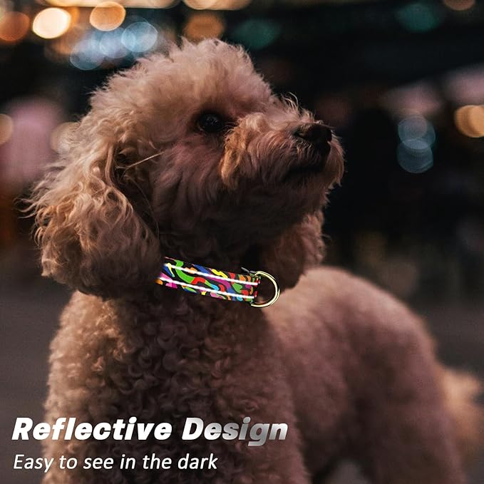 Reflective Dog Collar for Medium Dogs, Cute Boho Adjustable Heavy-Duty Nylon Puppy Collar for Boy and Girl Female, Soft Pet Accessories with Quick Release Buckle, Abstract Rainbow Art