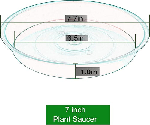 6 Pack of 7 inch Plant Saucer, Heavy Duty Plastic Plant Water Tray 7 inch Round, Flower Plant Saucers for Indoors No Holes, Plant Dishes Saucer for Planter 7"/8" (7", Cement)