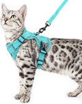 Cat Harness and Leash Set Escape Proof Tactical Small Kitten Harness Emotional Support Cat Vest, Turquoise, S
