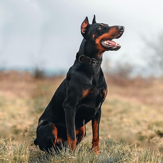 Tactical Dog Collar Military Adjustable Dog Collars Soft Nylon Training Collar with Patch Heavy Duty Metal Buckle Collars for Medium Large Dogs (Black-1, M)