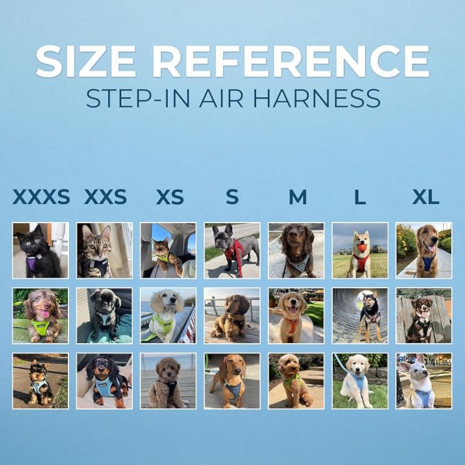 Best Pet Supplies Voyager Step-in Air All Weather Mesh Harness and Reflective Dog 5 ft Leash Combo with Neoprene Handle, for Small, Medium and Large Breed Puppies - Set (Purple), M