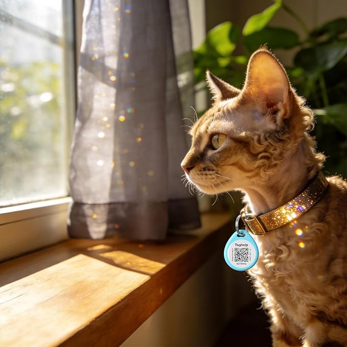 The Multi-Cat Household Kit: 5 Universal QR ID Tags. A Complete Set for All Your Cats. Scan for Instant Call & Vet Info - No Subscription Ever (5 Colours, for cat - 1")