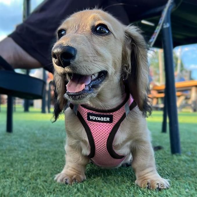 Best Pet Supplies Voyager Step-in Air All Weather Mesh Harness and Reflective Dog 5 ft Leash Combo with Neoprene Handle, for Small, Medium and Large Breed Puppies - Pink Base,S