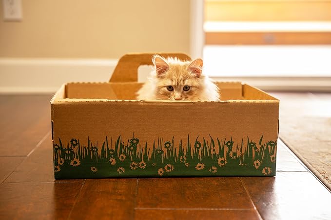 Disposable Ten Second Litter Boxes for Kitty/Cats. Made in The USA. Biodegradable Solution for Quick and Easy Disposal. Made of Recyclable Material. (8-Pack)