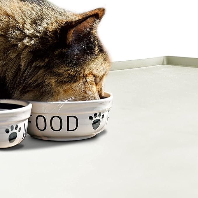 Dog Food Mat,Silicone Waterproof Food Tray,Non Slip Pet Bowl Mats Placemat,0.6" Raised Edge,Suitable for Most Small and Medium Sized Pets,24" x 16"