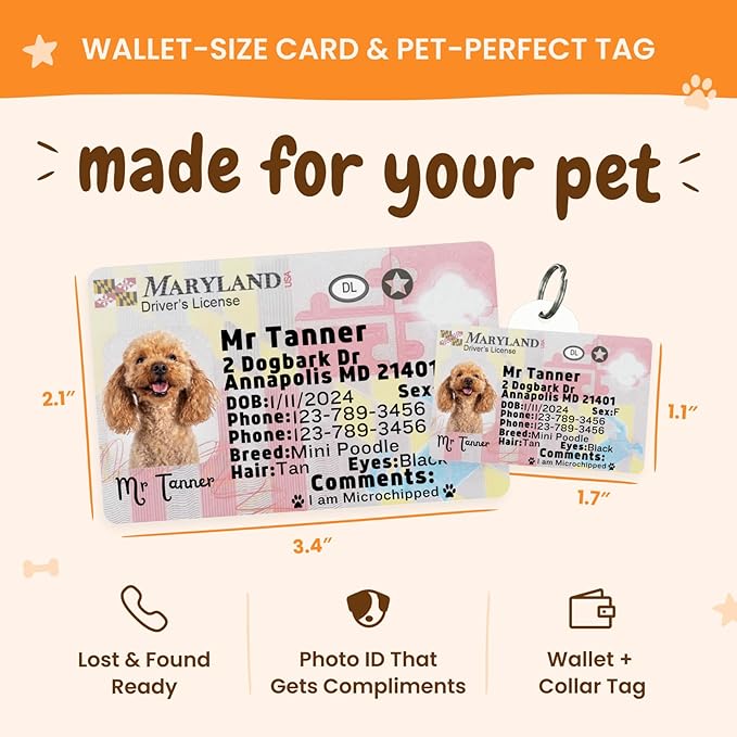 PawFurEver Personalized Dog Driver License ID Tag for Dogs & Cats - Custom Pet License Dog ID Tags Personalized Heavy Duty with Name, Photo & Phone Number, 50 States + DC (Maryland, Wallet Card)