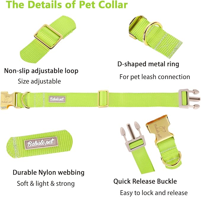 Nylon Dog Collar - Adjustable Fluorescent Green Soft Webbing Dog Collars for Small Medium Large Dogs Boy Girl Puppy Collar with Safety Metal Buckle S