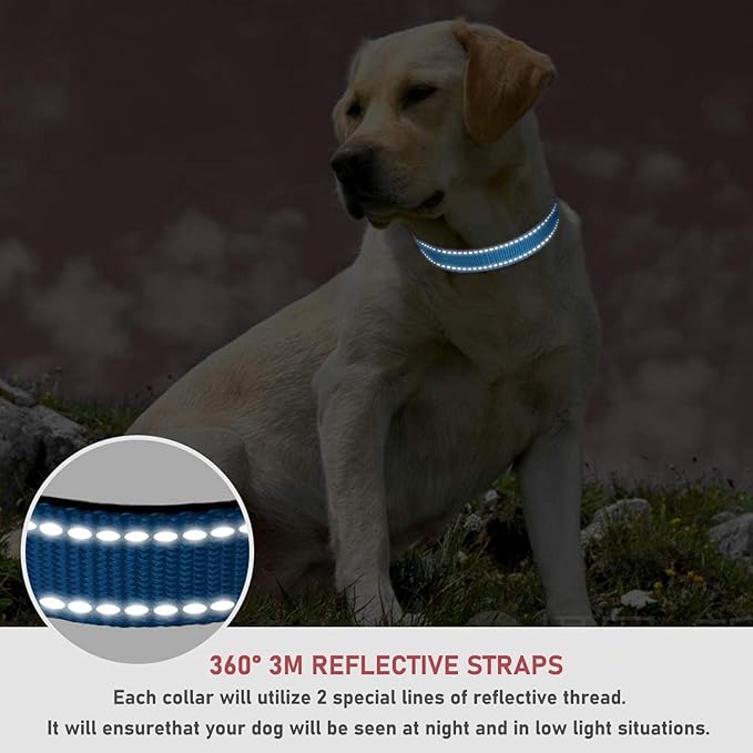 Reflective Dog Collar with Buckle Adjustable Safety Nylon Collars for Small Medium Large Dogs, Sky Blue XXS