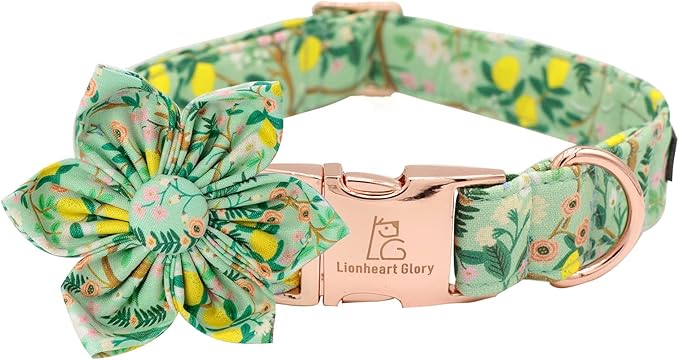 Lionheart Glory Dog Collar, Dog Collar with Flower, Cute Lemon Floral Pattern Pet Collar Adjustable Dog Collar for X-Small Dogs