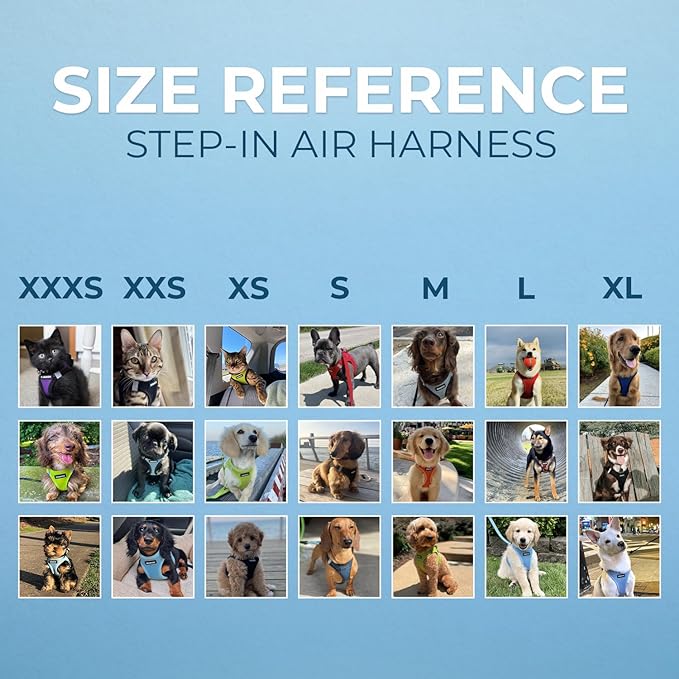Best Pet Supplies Voyager Step-in Air Harness - All Weather Mesh, Reflective, No Pull Harness for Dogs, Cats - Secure with Hook & Loop Fastener, Buckle, Double D-Rings - Gray 2-Tone, XS