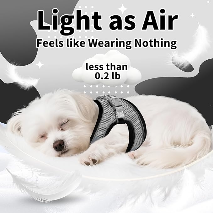 AIITLE Comfortable Dog Harness and Leash Set for Walking - Step in Vest Harness,Reflective Bands, Adjustable No Pull Puppy Essentials, for Small Dogs and House Cats Black XS